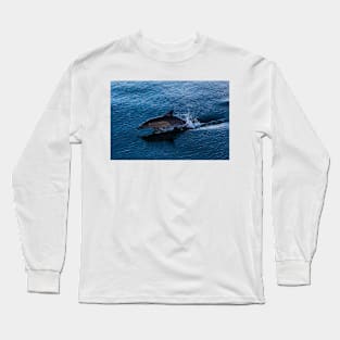 Common Dolphin Playing off Surfers Paradise Long Sleeve T-Shirt